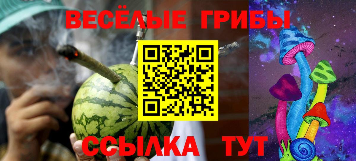 Псилоцибиновые грибы Psilocybine cubensis  Вход с VPN  Жигулёвск 